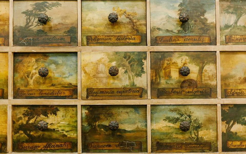 Identifying Authentic Apothecary and Specimen Cabinets